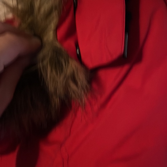 Water Resistant Long Sleeve Longer Length Parka wFaux Fur Trim Hood - Picture 5 of 6